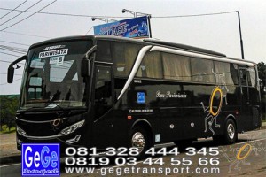 Gege transportasi yogyakarta setra jetbus 2 hd bus hitam terbaru 2016 2017 terbaik jakarta