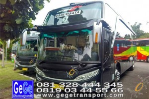 Gege transportasi yogyakarta setra jetbus 2 hdd bus hitam terbaru 2016 2017 terbaik dijual jakarta bandung bali lombok surabaya