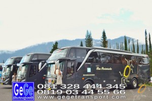 Gege transport yogyakarta setra jetbus2 hdd bus hitam terbaru 2016 2017 terbaik jakarta bandung semarang bali lombok denpasar surabaya semarang