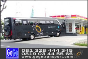 gege transport bus pariwisata terbaru harga sewa kontak 081328444345 081903445566