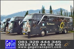 bus pariwisata yogya interior mewah bersih hdd shd terbaru 2017