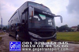 gege transport hdd tahun 2017 2016 bus pariwisata terbaik di yogyakarta nyaman terbaru setra adiputro murah ter besar shd black Pearl