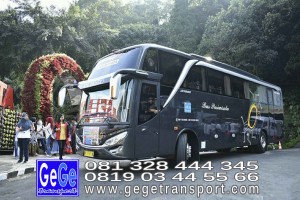 gege transport hdd tahun 2017 2016 bus pariwisata terbaik di yogyakarta nyaman terbaru setra adiputro murah ter besar solo semarang shd black Pearl