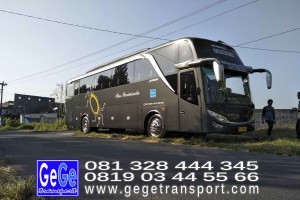 gege transportasi hdd tahun 2017 2016 bus pariwisata terbaik di yogyakarta nyaman terbaru setra adiputro murah ter solo besar semarang shd hitam Mutiara purwokerto