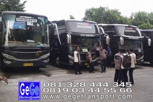 gege transport hdd tahun 2017 2016 bus pariwisata terbaik di yogyakarta nyaman terbaru setra adiputro murah ter besar solo semarang surabaya bali jakarta bandung shd black Pearl