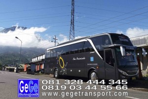 gege transport hdd tahun 2017 2016 bus pariwisata terbaik di yogyakarta nyaman terbaru setra adiputro murah ter besar solo semarang surabaya bali shd black Pearl