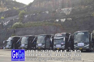 gege transport hdd tahun 2017 2016 bus pariwisata terbaik di yogyakarta nyaman terbaru setra adiputro murah ter besar solo semarang surabaya pandawa bali jakarta bandung shd black Pearl