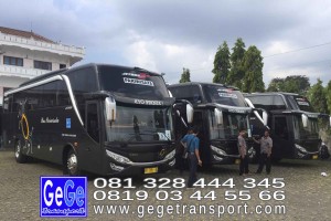 gege transport hdd tahun 2017 2016 bus pariwisata terbaik di yogyakarta nyaman terbaru setra adiputro murah ter besar solo semarang surabaya shd black Pearl