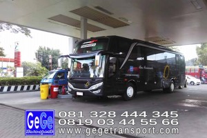 gege transport hdd tahun 2017 bus pariwisata terbaik di yogyakarta nyaman terbaru setra adiputro murah ter besar shd