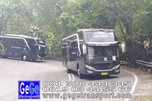 gege transport konvoi hdd tahun 2017 2016 bus pariwisata terbaik di yogyakarta nyaman terbaru setra adiputro murah ter besar shd black Pearl